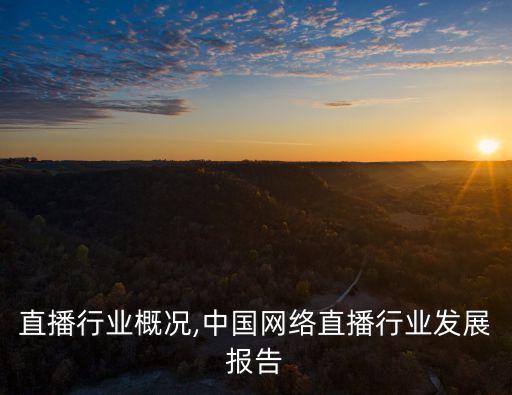 网络直播行业概况,中国网络直播行业发展报告