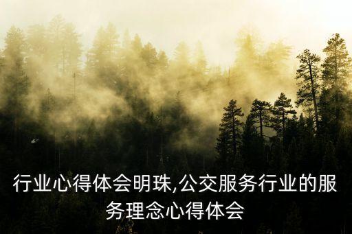 行业心得体会明珠,公交服务行业的服务理念心得体会