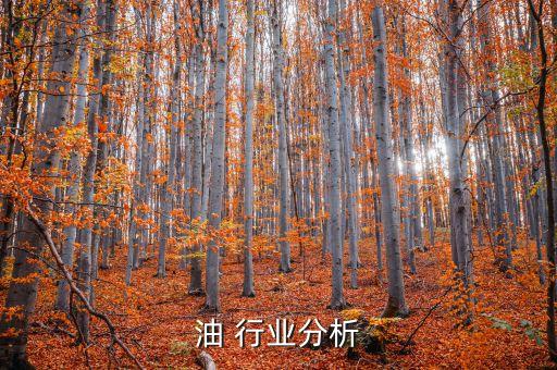 油 行业分析
