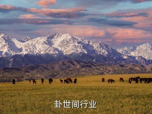 卦世间行业