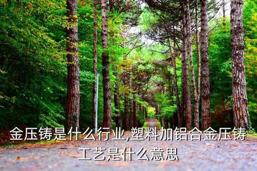 金压铸是什么行业,塑料加铝合金压铸工艺是什么意思