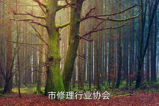 北京市修理行业协会