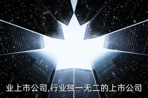 各行业上市公司,行业独一无二的上市公司