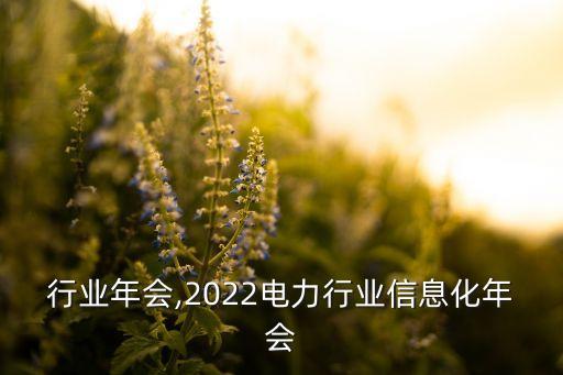 行业年会,2022电力行业信息化年会