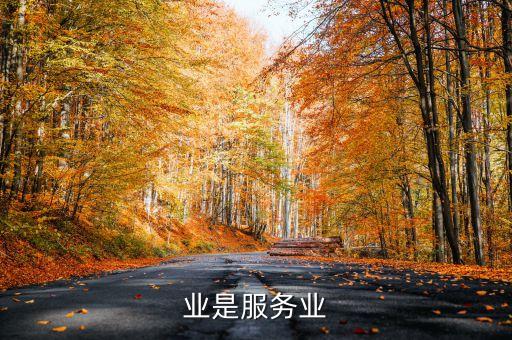 业是服务业