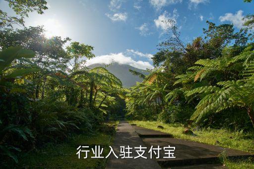 行业入驻支付宝