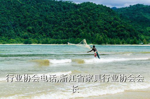 行业协会电话,浙江省家具行业协会会长