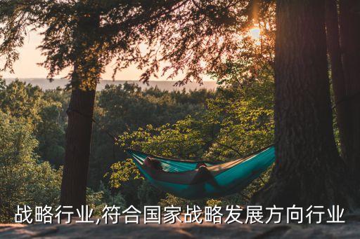 战略行业,符合国家战略发展方向行业