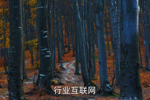 行业互联网