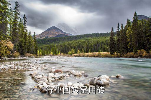 危废行业回转窑用砖