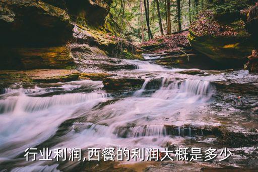 行业利润,西餐的利润大概是多少