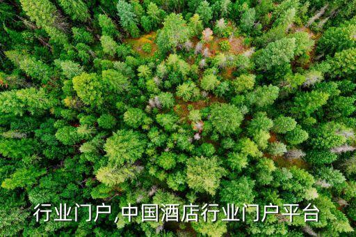 电子行业门户,中国酒店行业门户平台