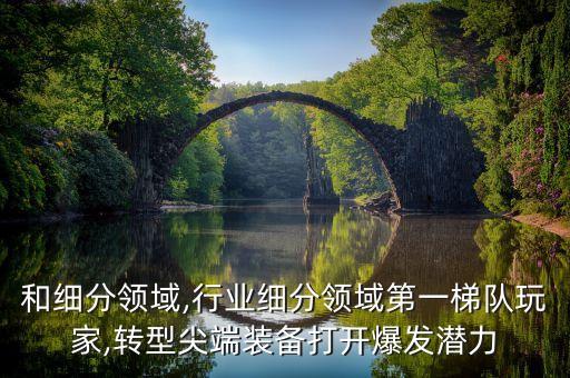 和细分领域,行业细分领域第一梯队玩家,转型尖端装备打开爆发潜力