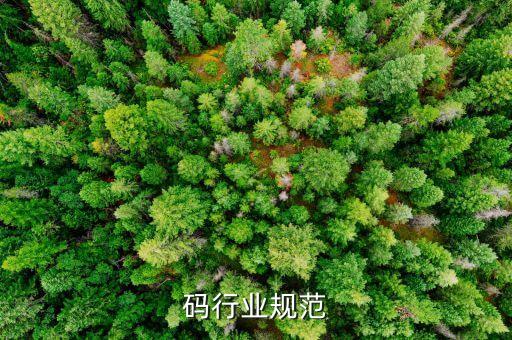 码行业规范