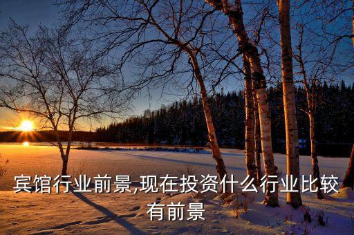 宾馆行业前景,现在投资什么行业比较有前景
