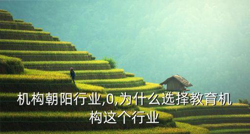 机构朝阳行业,0,为什么选择教育机构这个行业