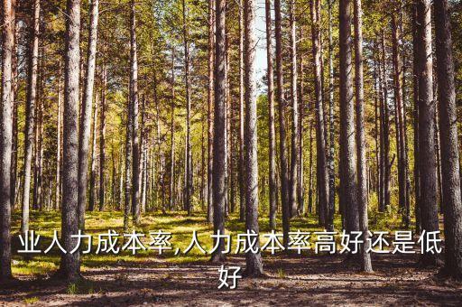 各行业人力成本率,人力成本率高好还是低好