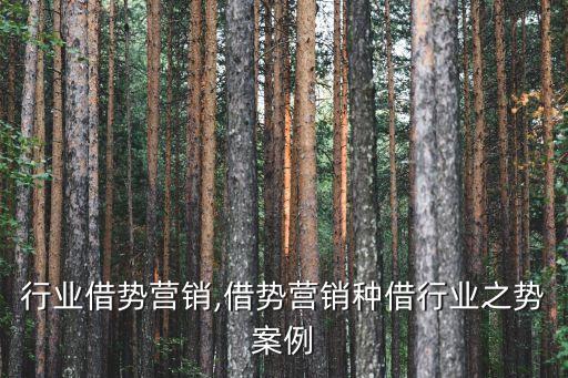 行业借势营销,借势营销种借行业之势案例