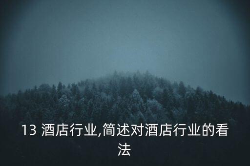 2013 酒店行业,简述对酒店行业的看法
