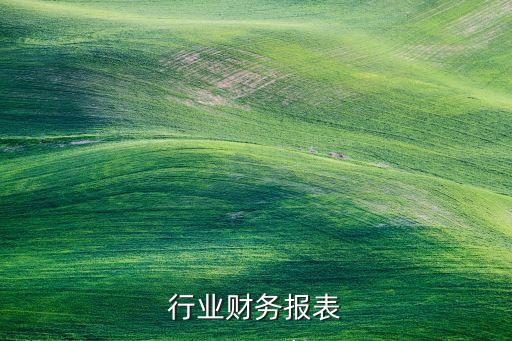 医疗行业财务报表