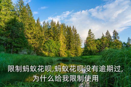 限制蚂蚁花呗,蚂蚁花呗没有逾期过,为什么给我限制使用