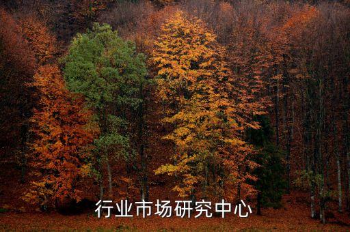 中国行业市场研究中心