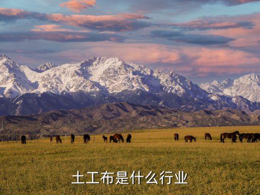 土工布是什么行业