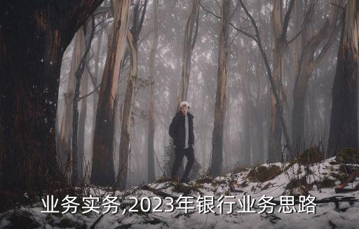 银行业务实务,2023年银行业务思路