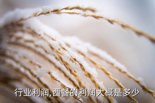 西餐行业利润,西餐的利润大概是多少