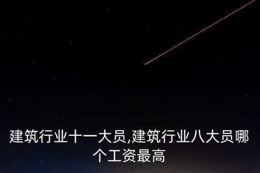 重庆建筑行业十一大员,建筑行业八大员哪个工资最高