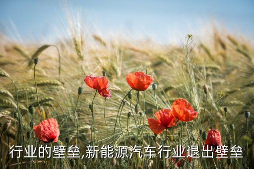 行业的壁垒,新能源汽车行业退出壁垒