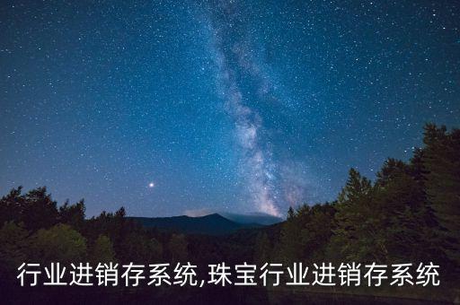 面包行业进销存系统,珠宝行业进销存系统