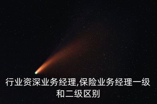 行业资深业务经理,保险业务经理一级和二级区别