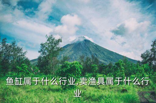 鱼缸属于什么行业,卖渔具属于什么行业