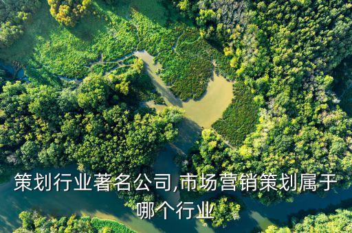策划行业著名公司,市场营销策划属于哪个行业
