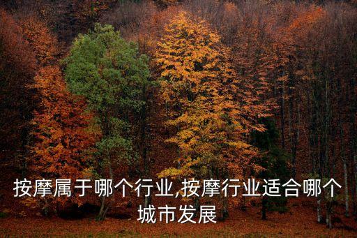医疗按摩属于哪个行业,按摩行业适合哪个城市发展
