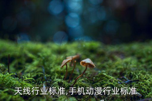 天线行业标准,手机动漫行业标准