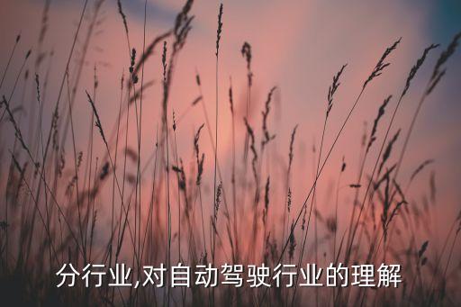 驾驶分行业,对自动驾驶行业的理解