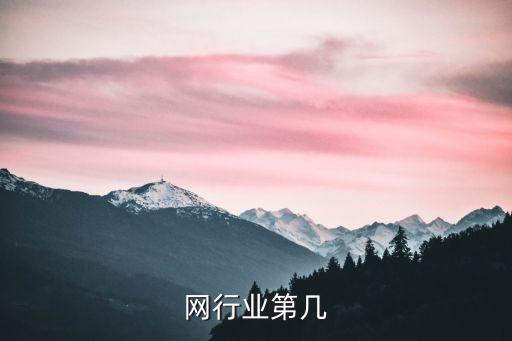 网行业第几