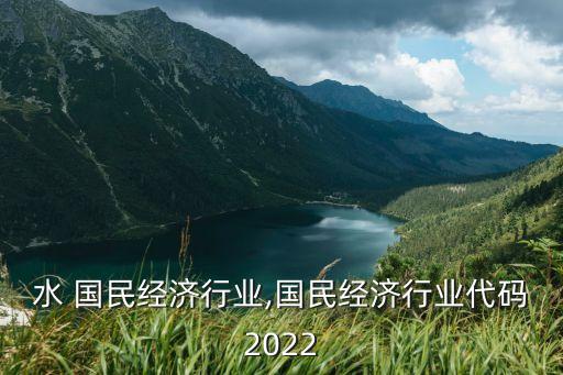 洗发水 国民经济行业,国民经济行业代码2022