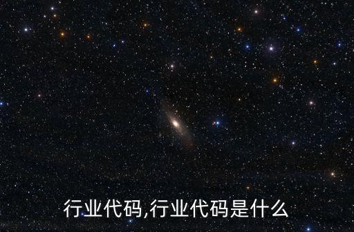 4位行业代码,行业代码是什么