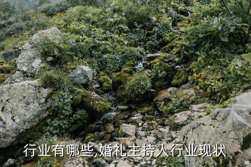 行业有哪些,婚礼主持人行业现状