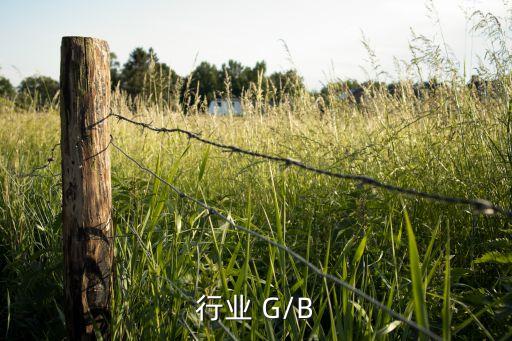 行业 G/B