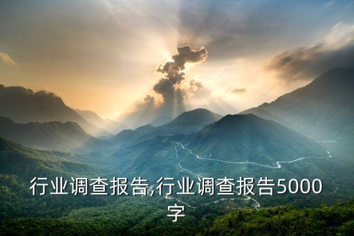 行业调查报告,行业调查报告5000字