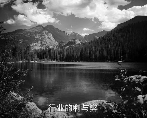 美容行业的利与弊