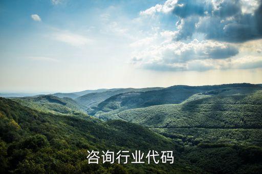 咨询行业代码