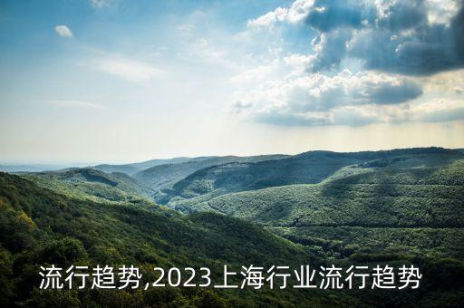 流行趋势,2023上海行业流行趋势