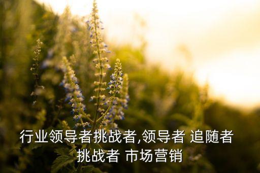 具体行业领导者挑战者,领导者 追随者 挑战者 市场营销