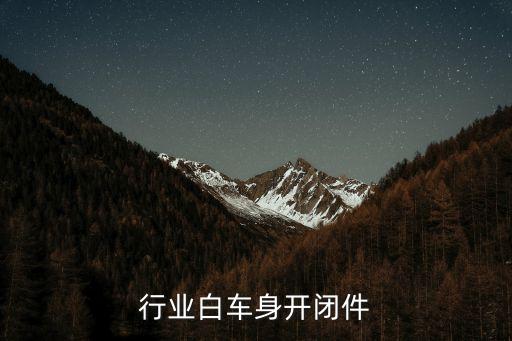 汽车行业白车身开闭件