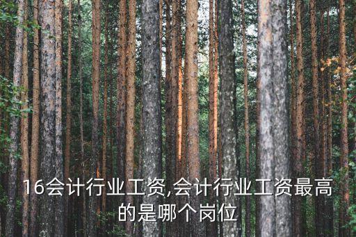 16会计行业工资,会计行业工资最高的是哪个岗位